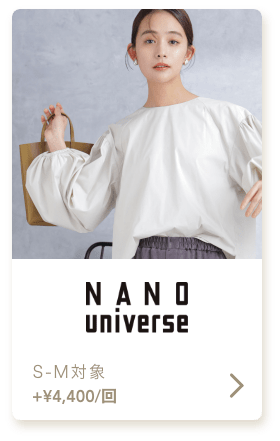 nanouniverse