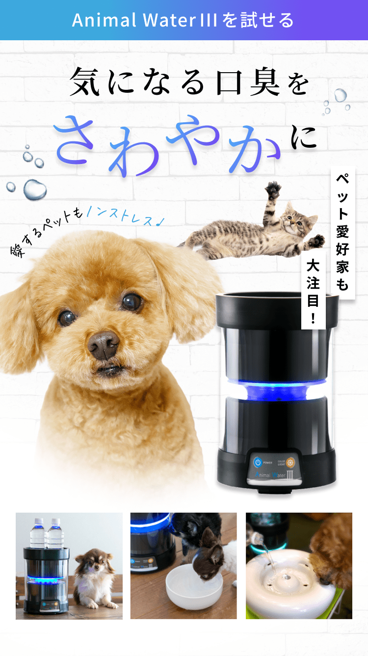 アニマルウォーターAnimal waterⅡ アニマルウォーターII 口臭・歯石