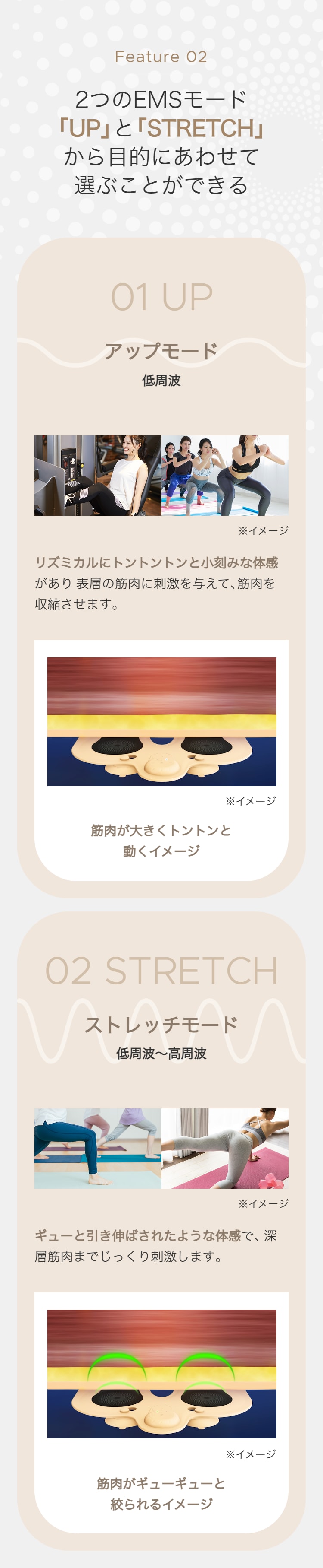 レンタル】ミーゼ(mysé)・スパトレーナーのサブスク・お試し レンタル】ミーゼ(mysé)・スパトレーナーのサブスク・お試し