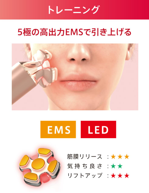 レンタル】ゾーガンキン(ZOGANKIN)・ゾーガンキン ブルームのサブスク