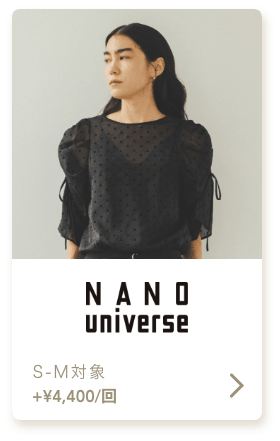 nanouniverse