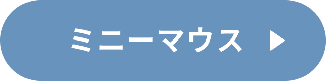 ミニーコーデ（ミニーバウンド）の詳細を見る